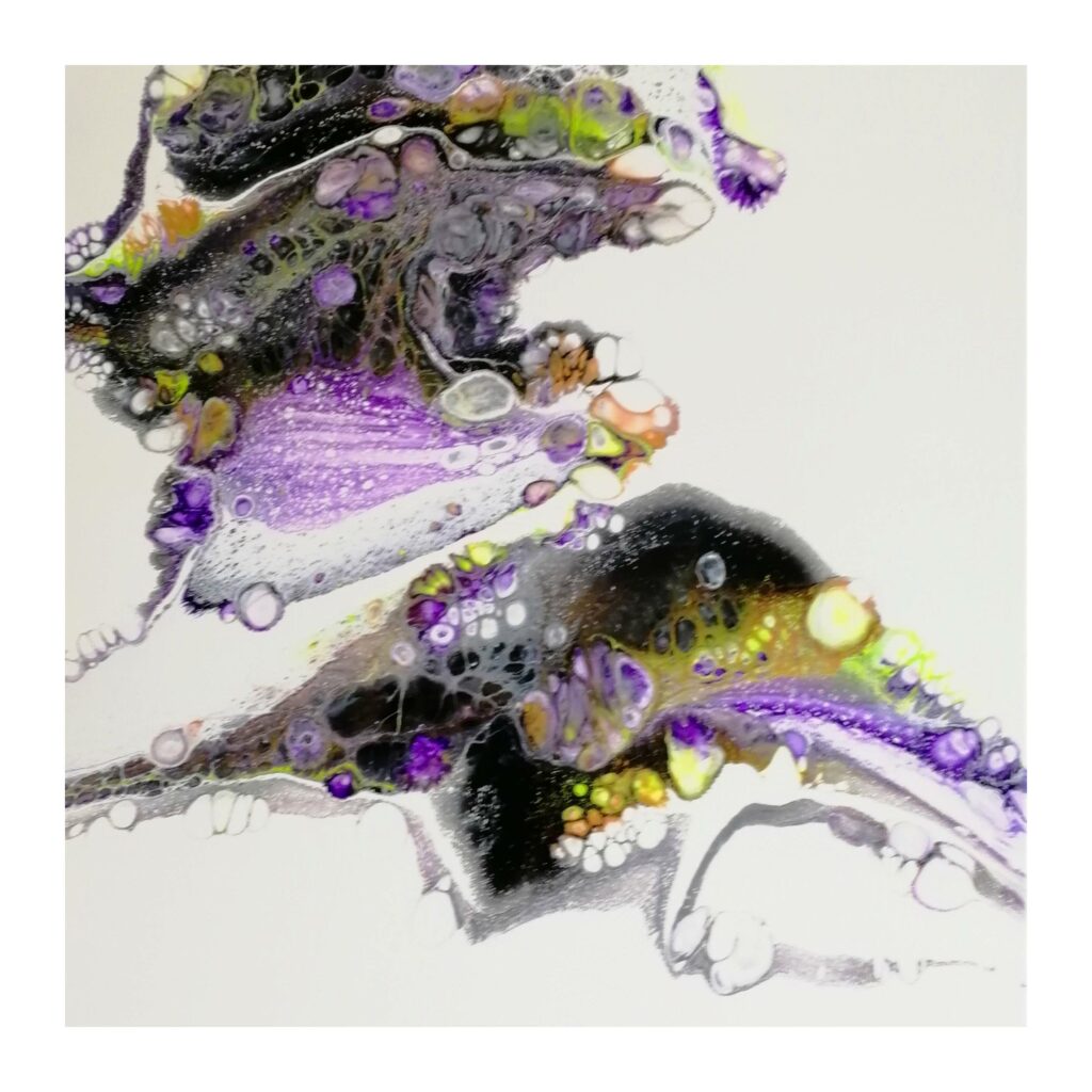 Insolite | 64×54 cm